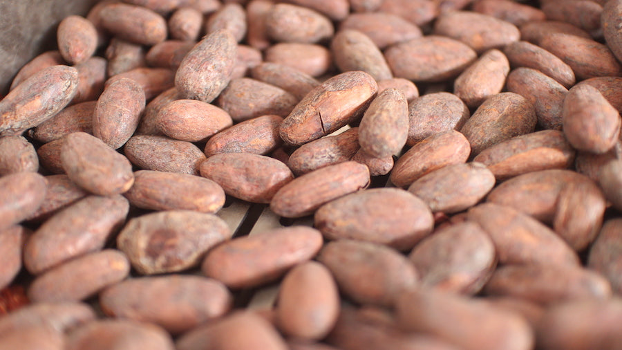 Roasting cacao, 2020 lockdown style
